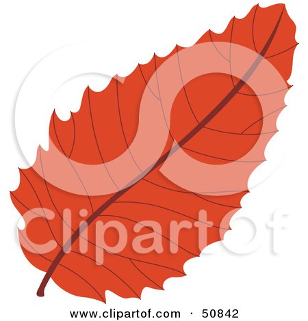 Royalty-Free (RF) Clipart Illustration of an Autumn Leaf - Version 4 by Cherie Reve