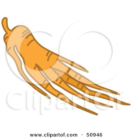 Royalty-Free (RF) Clipart Illustration of Ginseng Roots by Cherie Reve