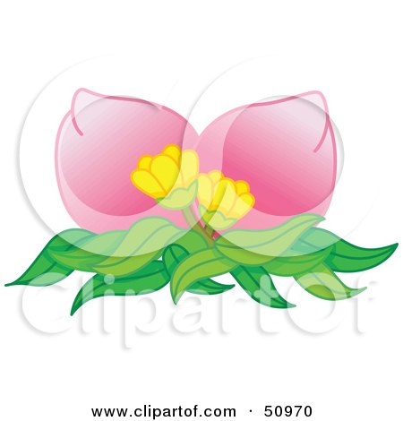 Royalty-Free (RF) Clipart Illustration of a Pink Plant With Yellow And Pink Petals by Cherie Reve