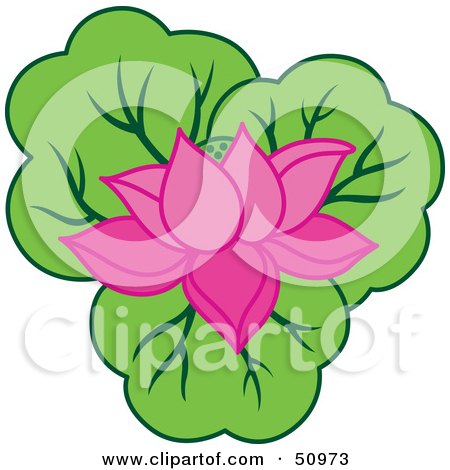 Royalty-Free (RF) Clipart Illustration of a Blooming Pink Water Lily On Green by Cherie Reve
