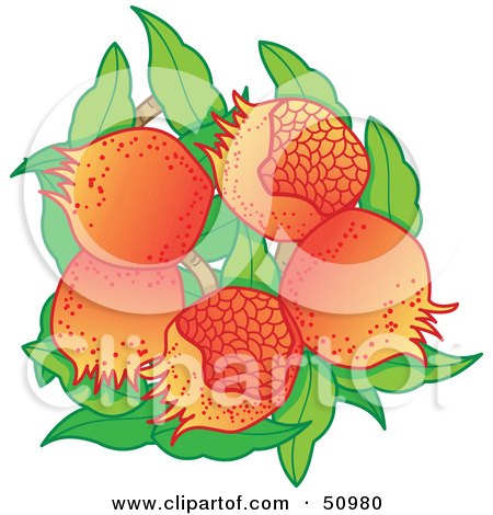 Royalty-Free (RF) Clipart Illustration of Fresh Growing Pomegranate Fruits With Green Leaves by Cherie Reve