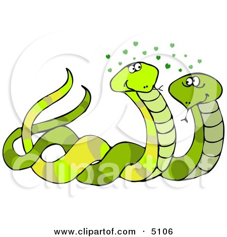 Male & Female Snakes Mating Clipart by djart