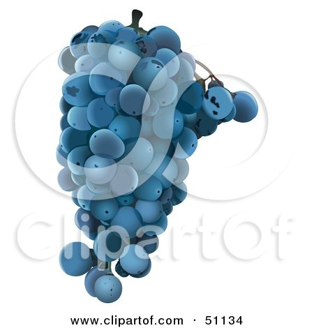 Royalty-Free (RF) Clipart Illustration of a Cluster of Blue Grapes by dero