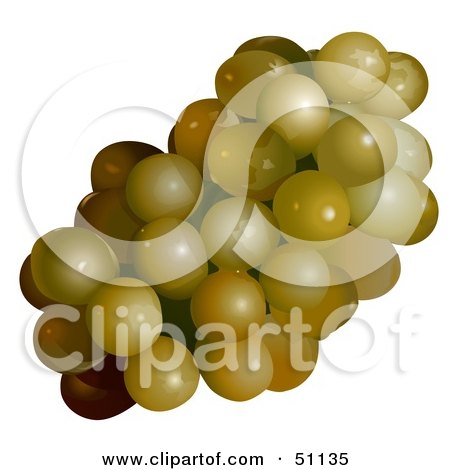 Royalty-Free (RF) Clipart Illustration of a Cluster of Golden Grapes by dero