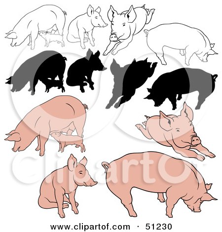 Royalty-Free (RF) Clipart Illustration of a Digital Collage Of Pigs In Color, Outlines And Silhouettes - Version 3 by dero