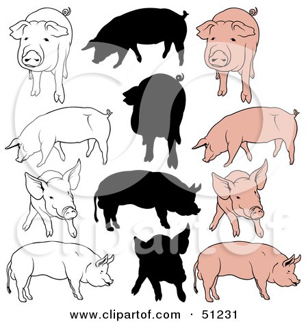 Royalty-Free (RF) Clipart Illustration of a Digital Collage Of Pigs In Color, Outlines And Silhouettes - Version 1 by dero