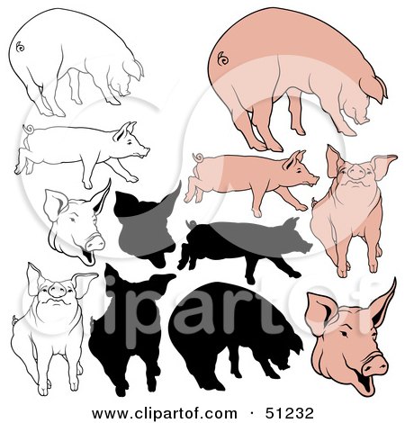 Royalty-Free (RF) Clipart Illustration of a Digital Collage Of Pigs In Color, Outlines And Silhouettes - Version 4 by dero
