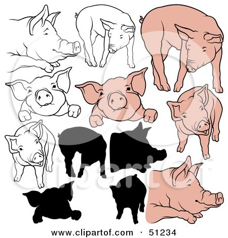 Royalty-Free (RF) Clipart Illustration of a Digital Collage Of Pigs In Color, Outlines And Silhouettes - Version 7 by dero
