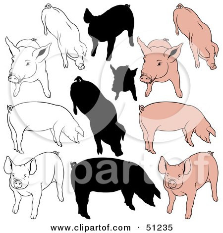 Royalty-Free (RF) Clipart Illustration of a Digital Collage Of Pigs In Color, Outlines And Silhouettes - Version 2 by dero