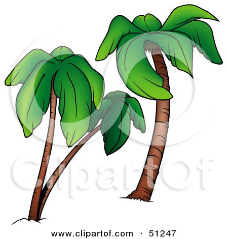 Royalty-Free (RF) Clipart Illustration of a Coconut Palm Tree - Version 9 by dero