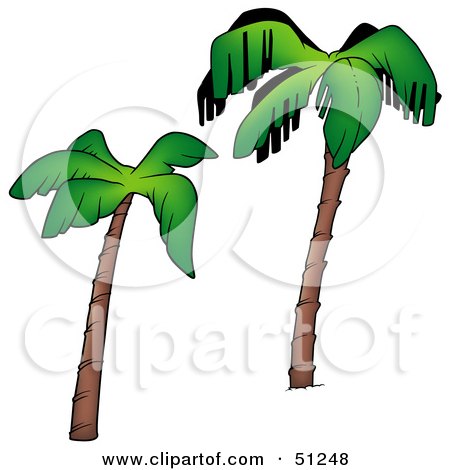 Royalty-Free (RF) Clipart Illustration of a Coconut Palm Tree - Version 10 by dero