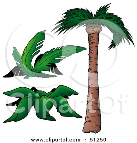 Royalty-Free (RF) Clipart Illustration of a Coconut Palm Tree - Version 6 by dero