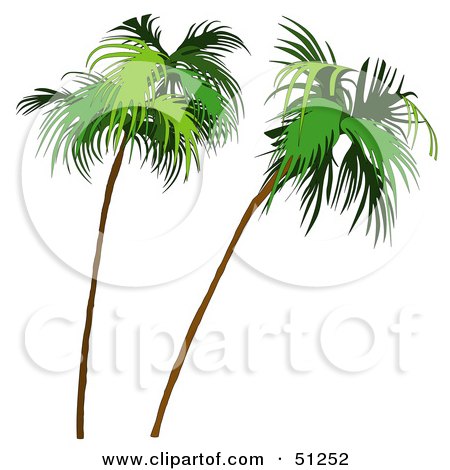 Royalty-Free (RF) Clipart Illustration of a Coconut Palm Tree - Version 8 by dero