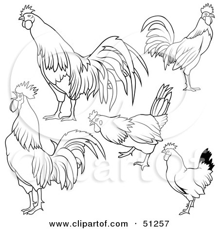 Royalty-Free (RF) Clipart Illustration of a Digital Collage Of Rooster Outlines - Version 3 by dero