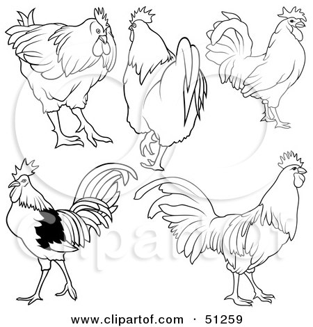 Royalty-Free (RF) Clipart Illustration of a Digital Collage Of Rooster Outlines - Version 2 by dero