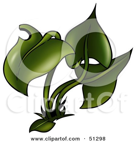 Royalty-Free (RF) Clipart Illustration of a Green Plant by dero