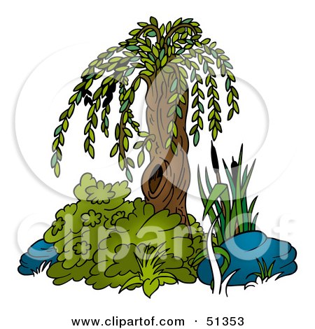 Clipart Illustration of a Small Weeping Willow by dero