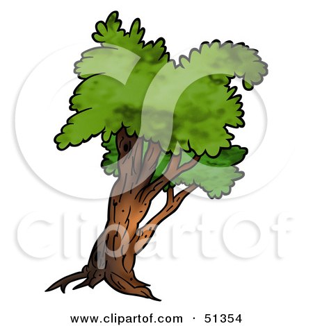 Royalty-Free (RF) Clipart Illustration of a Tree With Gree Foliage - Version 10 by dero