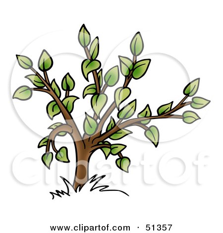 Royalty-Free (RF) Clipart Illustration of a Tree With Gree Foliage - Version 2 by dero