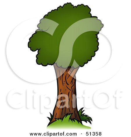 Royalty-Free (RF) Clipart Illustration of a Tree With Gree Foliage - Version 3 by dero