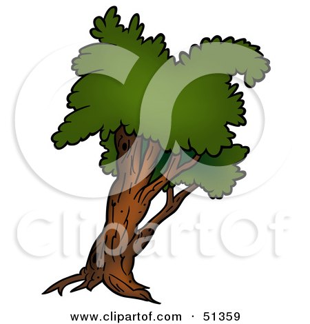Royalty-Free (RF) Clipart Illustration of a Tree With Gree Foliage - Version 4 by dero