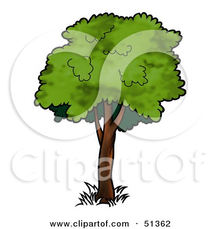 Royalty-Free (RF) Clipart Illustration of a Tree With Gree Foliage - Version 6 by dero