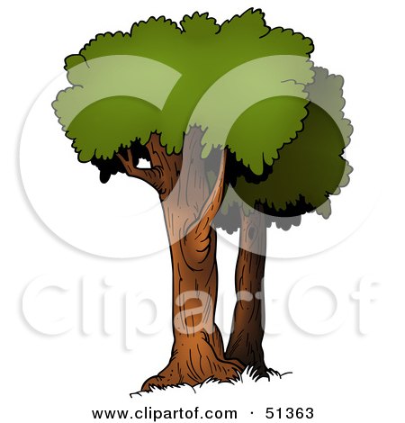 Royalty-Free (RF) Clipart Illustration of a Tree With Gree Foliage - Version 11 by dero