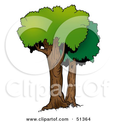 Royalty-Free (RF) Clipart Illustration of a Tree With Gree Foliage - Version 8 by dero