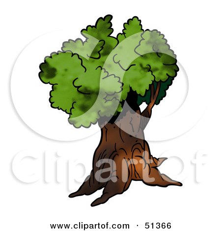 Royalty-Free (RF) Clipart Illustration of a Tree With Gree Foliage - Version 9 by dero