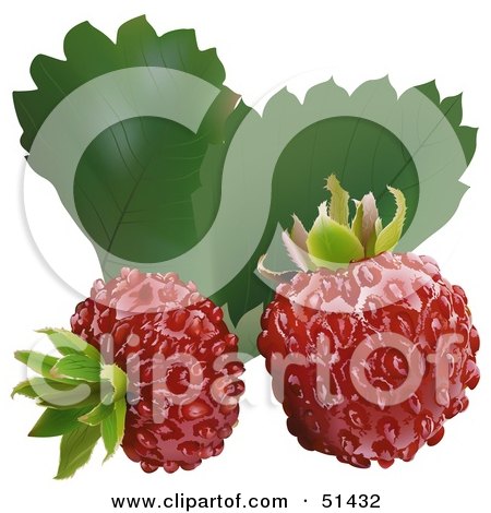 Royalty-Free (RF) Clipart Illustration of Two Fresh Wild Strawberries And Leaves by dero
