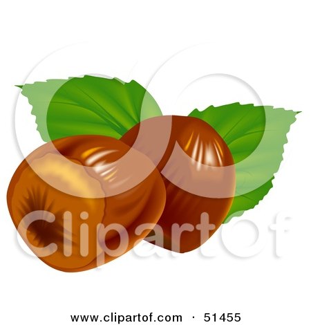 Royalty-Free (RF) Clipart Illustration of Two Hazelnuts and Leaves by dero