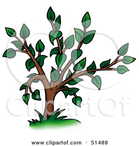 Royalty-Free (RF) Clipart Illustration of a Tree With Gree Foliage - Version 1 by dero