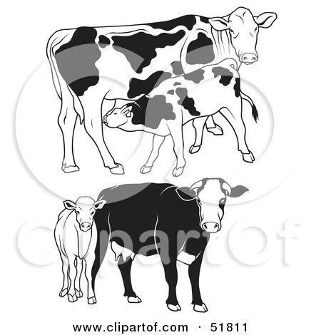 Royalty-Free (RF) Clipart Illustration of a Digital Collage Of Black And White Dairy Cow Outlines - Version 3 by dero