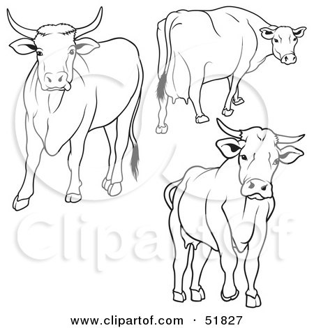 Royalty-Free (RF) Clipart Illustration of a Digital Collage Of Black And White Cow Outlines - Version 2 by dero