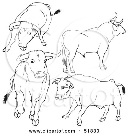 Royalty-Free (RF) Clipart Illustration of a Digital Collage Of Black And White Bull Outlines - Version 6 by dero