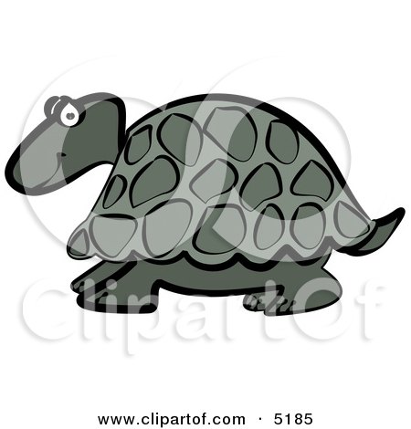 Grey Cartoon Turtle Clipart by djart