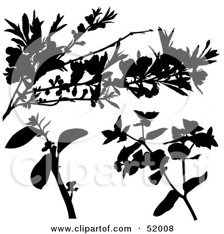Royalty-Free (RF) Clipart Illustration of a Digital Collage of Floral Elements - Version 11 by dero