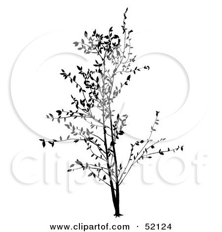 Royalty-Free (RF) Clipart Illustration of a Black Tree Silhouette - Version 3 by dero