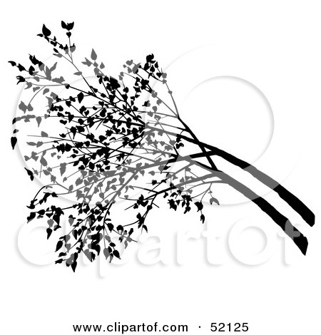 Royalty-Free (RF) Clipart Illustration of Silhouetted Tree Branches by dero