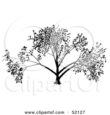 Royalty-Free (RF) Clipart Illustration of a Black Tree Silhouette - Version 2 by dero