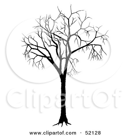 Royalty-Free (RF) Clipart Illustration of a Bare Tree Silhouette - Version 1 by dero