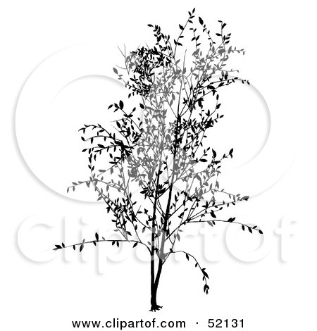 Royalty-Free (RF) Clipart Illustration of a Black Tree Silhouette - Version 4 by dero