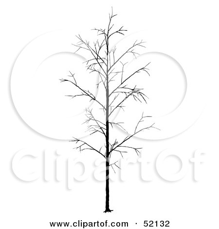 Royalty-Free (RF) Clipart Illustration of a Bare Tree Silhouette - Version 2 by dero