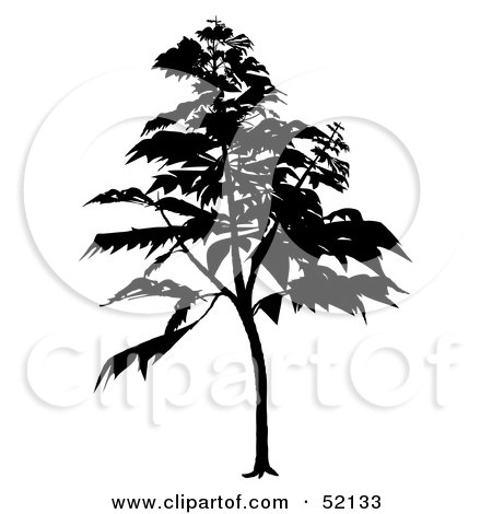 Royalty-Free (RF) Clipart Illustration of a Black Tree Silhouette - Version 5 by dero