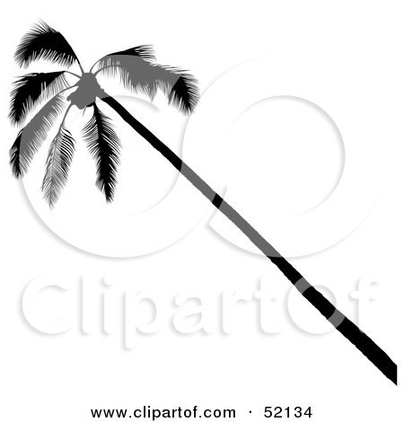 Royalty-Free (RF) Clipart Illustration of a Leaning Palm Tree Silhouette by dero