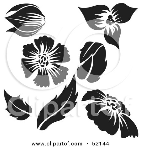 Royalty-Free (RF) Clipart Illustration of a Digital Collage of Floral Elements - Version 7 by dero