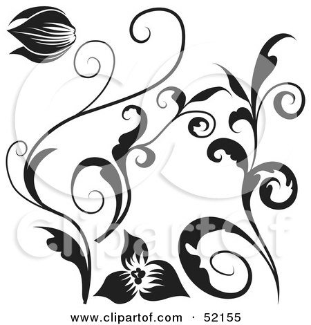 Royalty-Free (RF) Clipart Illustration of a Digital Collage of Floral Elements - Version 5 by dero