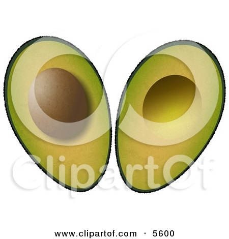 Sliced In Half Avocado Fruit with Seed Clipart Illustration by djart