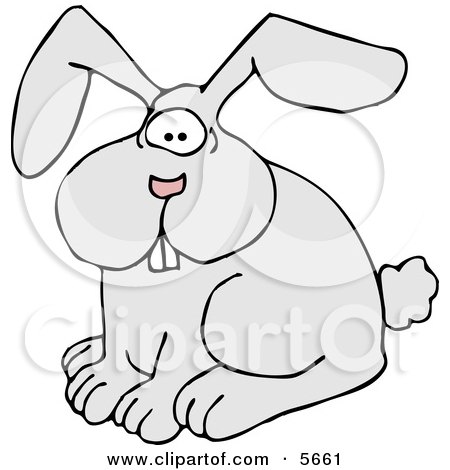 Domestic Grey Rabbit with a Pink Nose Clipart Illustration by djart