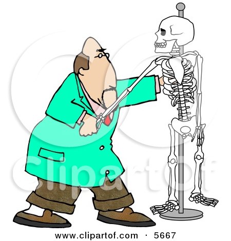 Male Chiropractor Practicing Procedures On a Skeleton Clipart Illustration by djart